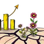 Renda Fixa Pós-Crise: Recupere Seu Patrimônio